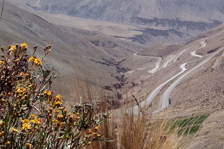 Trail to Salar Grande