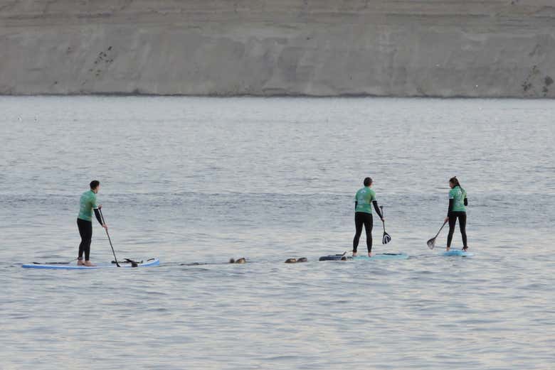 Remando en la costa de Rada Tilly