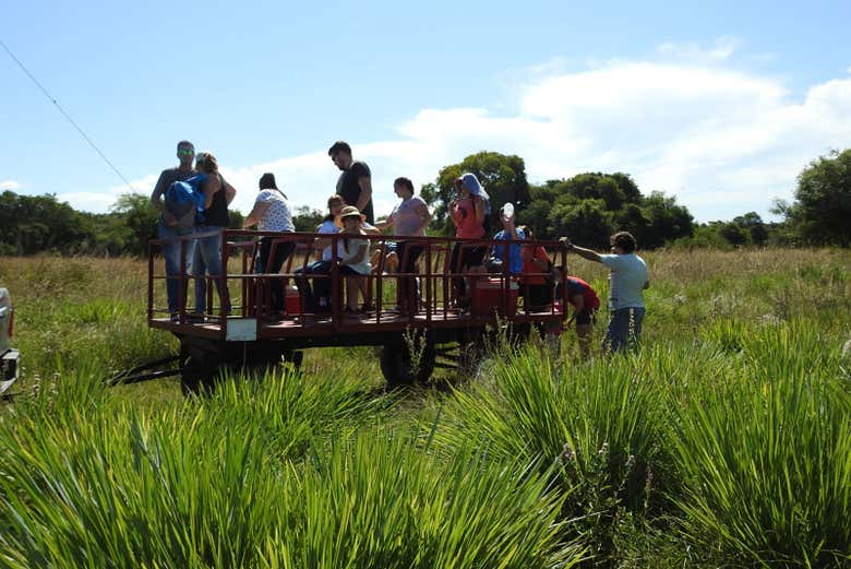 Visitando la estancia en un camión safari