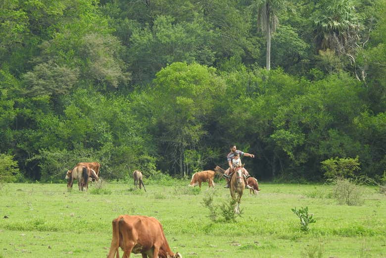 Contemplez le paysage pendant la balada à cheval