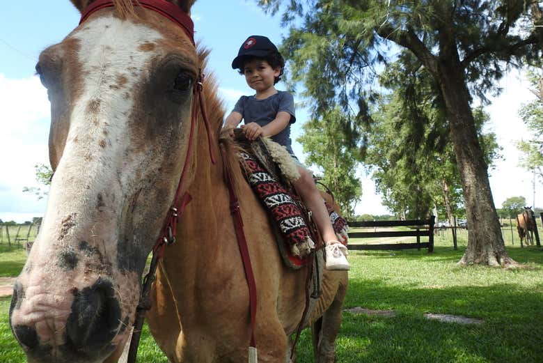 Les plus de 3 ans pourront chevaucher seuls ou accompagnés