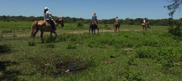 Horseback Riding at San Rafael Estate