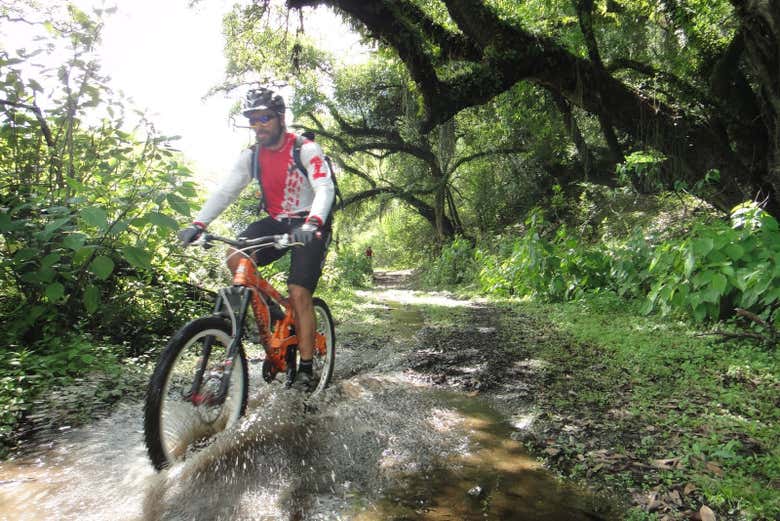 Percorrendo de bicicleta os bosques de yungas