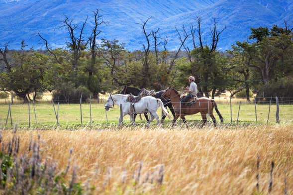 El Naranjo Horse Riding Activity