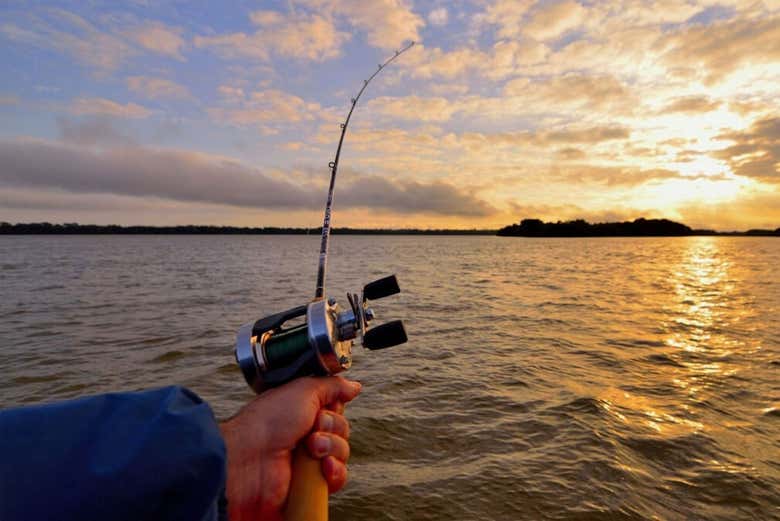 Caña de pesca en el río Paraná