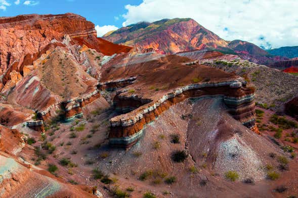 Cafayate Day Trip