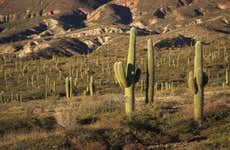 Excursão ao Parque Nacional de los Cardones + Trilha pela Puente del Diablo