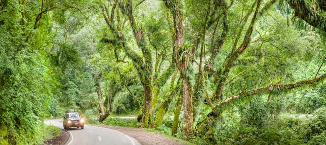Excursión al Parque Nacional El Rey