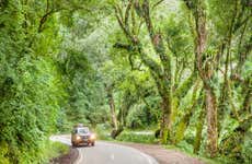 Excursión al Parque Nacional El Rey