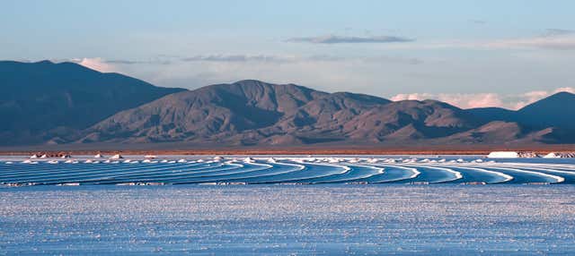 Excursión a las Salinas Grandes