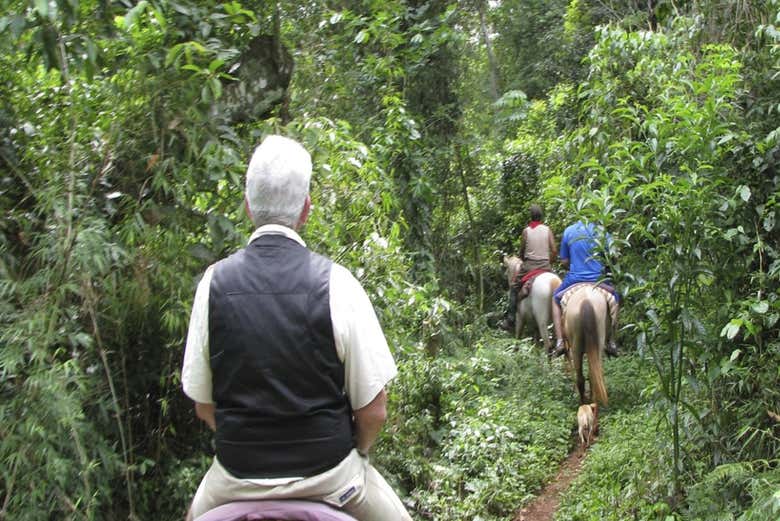 Randonnée à cheval à travers les paysages de San Lorenzo