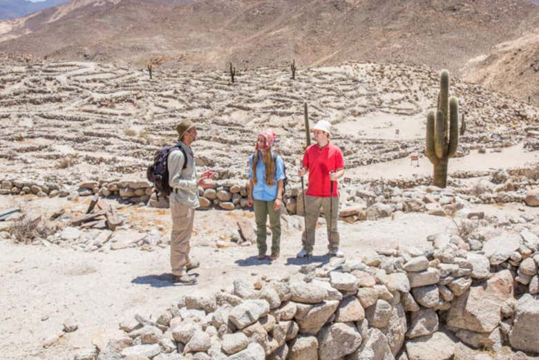 Le climat sec du nord de l'Argentine