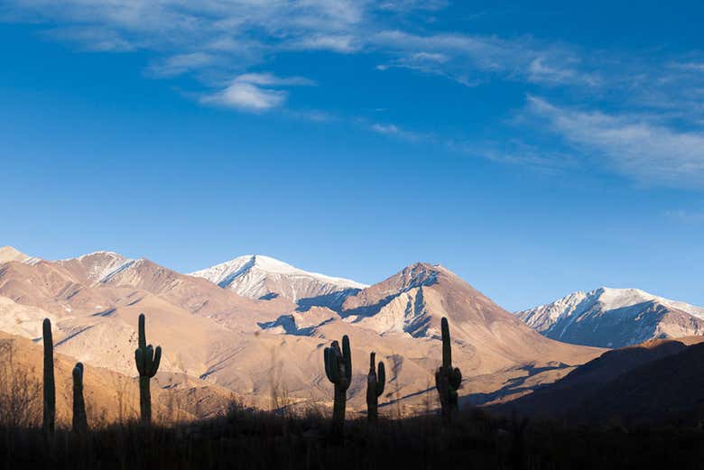 Parco Nazionale di Los Cardones