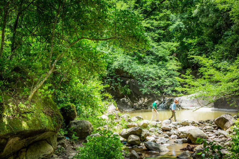 Trek across streams