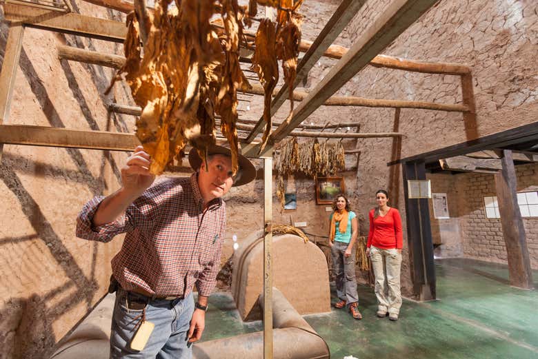 Visite du musée du tabac