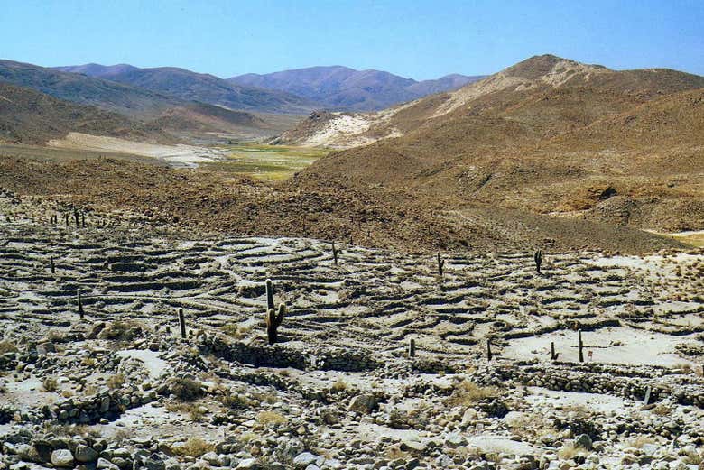 Quebrada del Toro