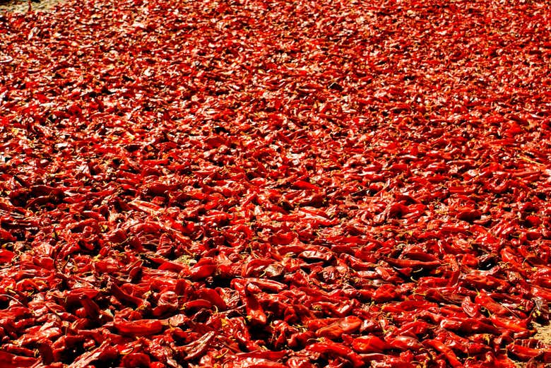 Des piments séchant au soleil