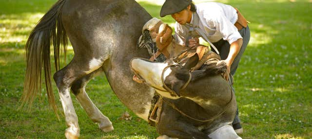 Experiencia gaucha en San Antonio de Areco