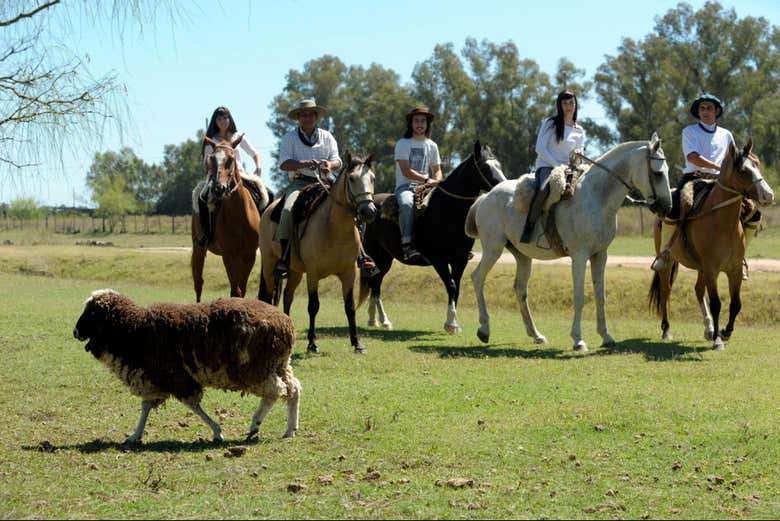 Disfrutando de un paseo a caballo