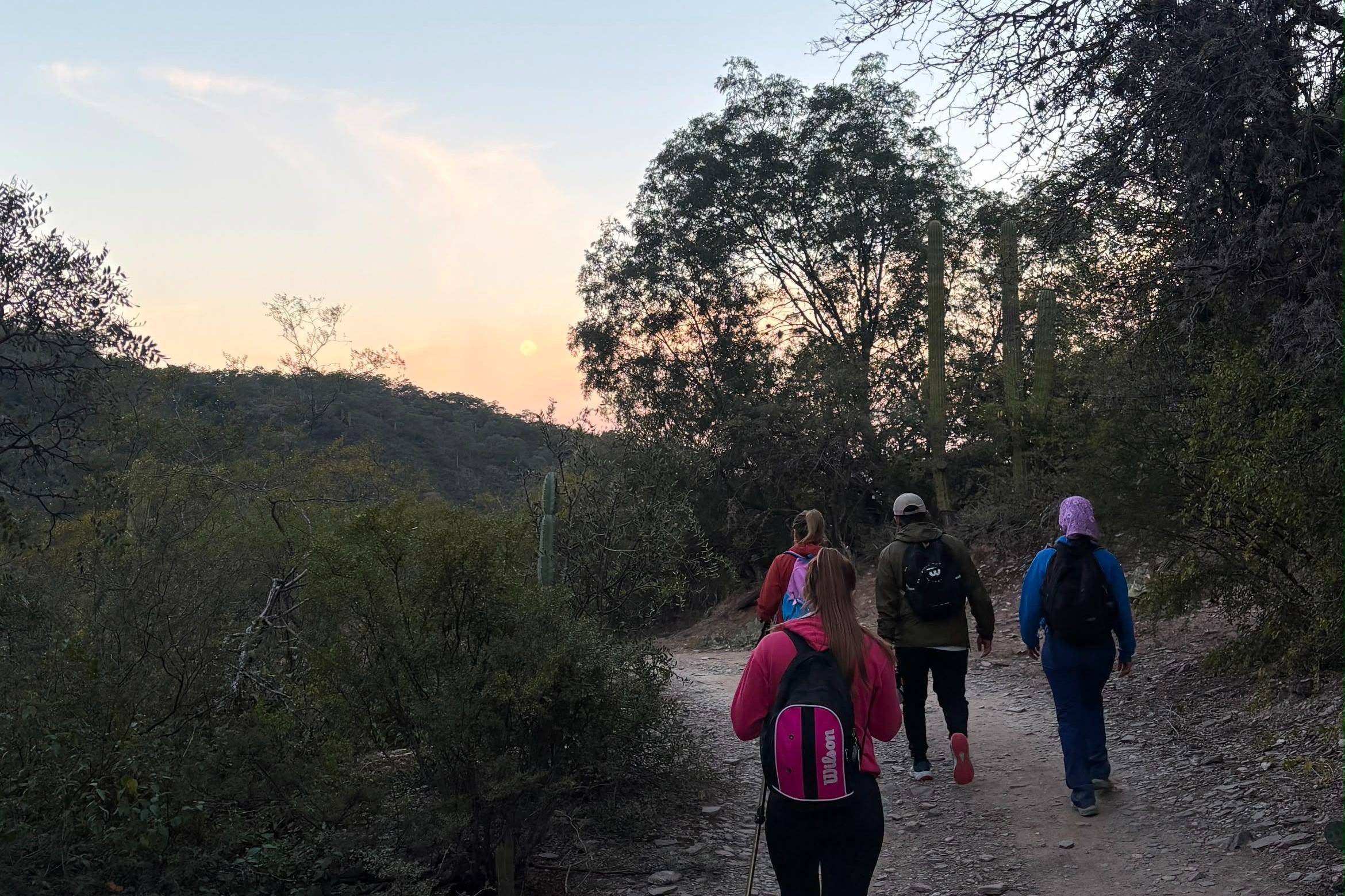 Un sendero de la Quebrada del Tala