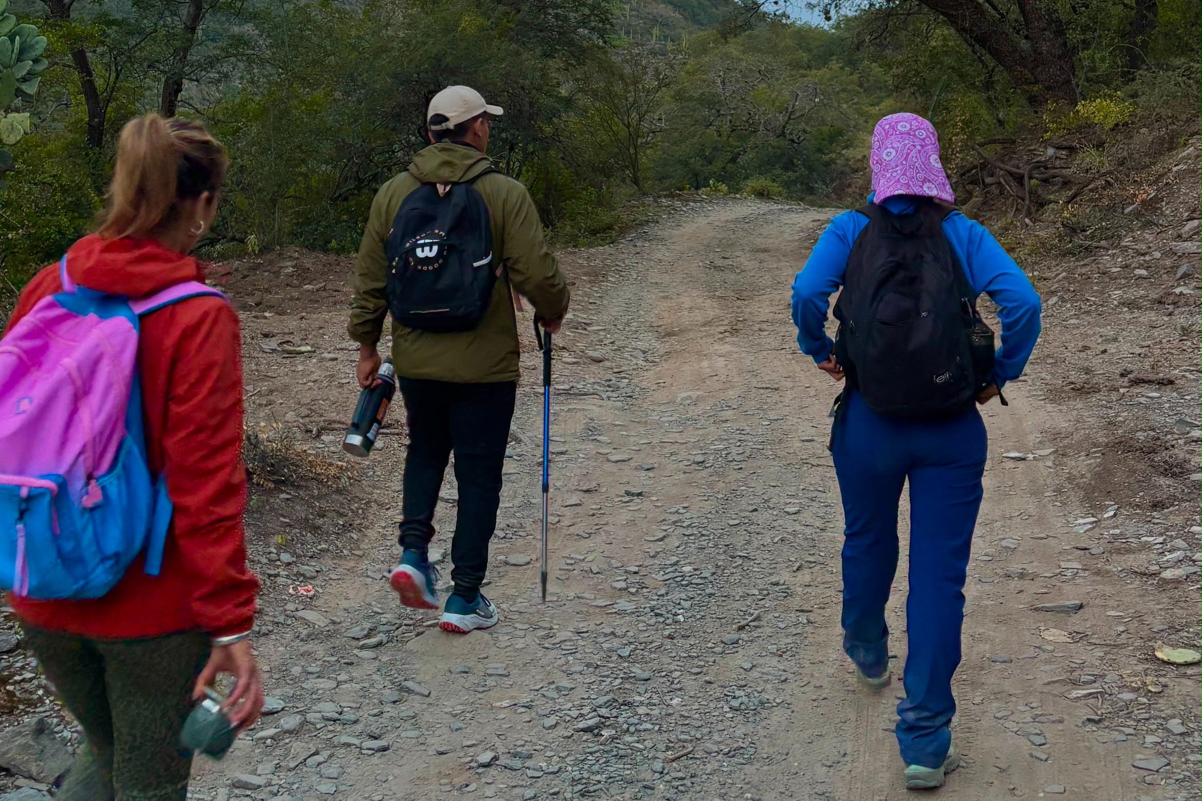 Exploraremos la biodiversidad de las yungas catamarqueñas