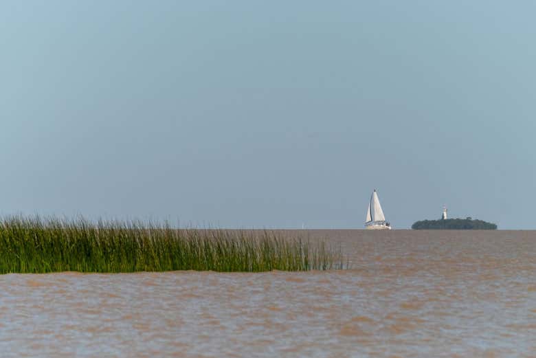 Voilier naviguant sur le fleuve