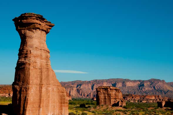 Excursión al Parque Nacional Talampaya