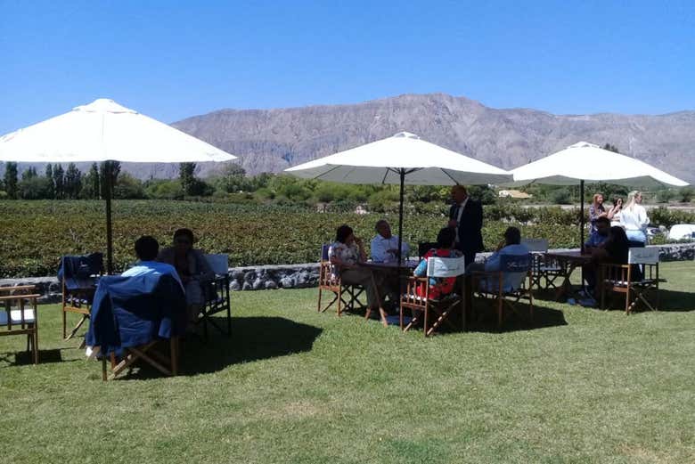 Enjoying the vineyards of San Juan