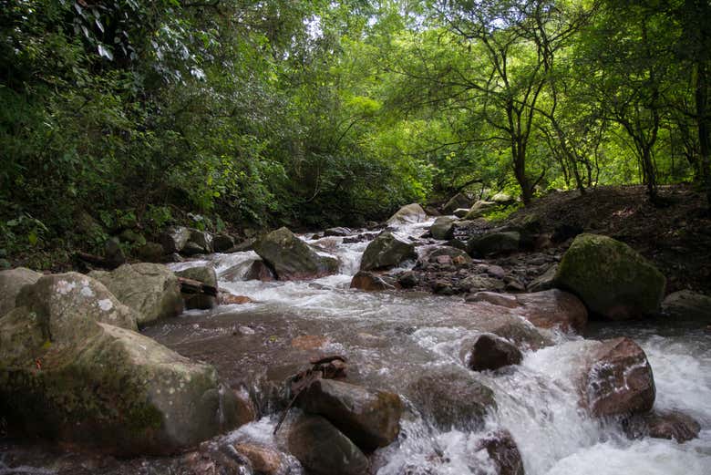 Cauce del río San Lorenzo