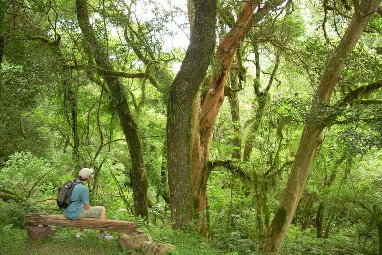 Admirando los paisajes de San Lorenzo