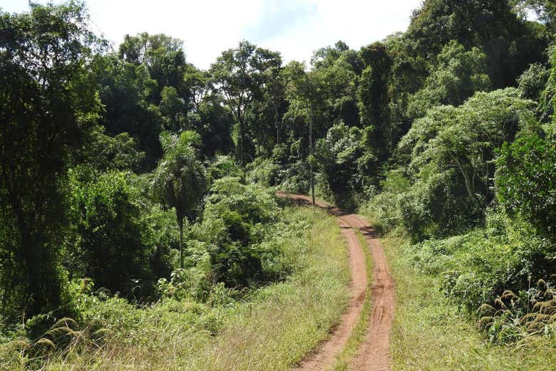 Camino ecuestre en los alrededores de San Lorenzo