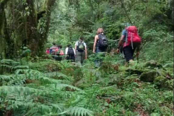 Ruta de senderismo por San Lorenzo