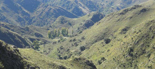 Excursion à Río Grande et Nogolí