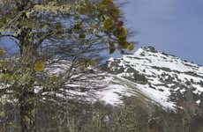 Excursión a Cerro Chapelco + Mirador Arrayanes