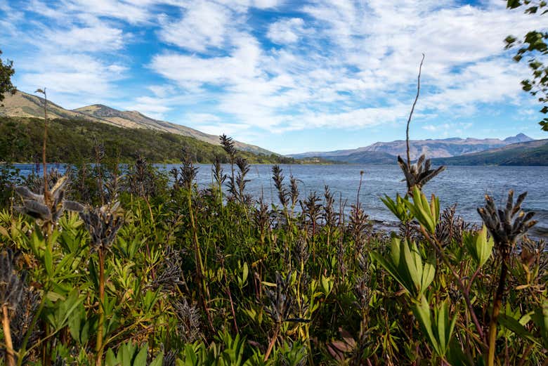 Natural landscapes of Lake Lolog