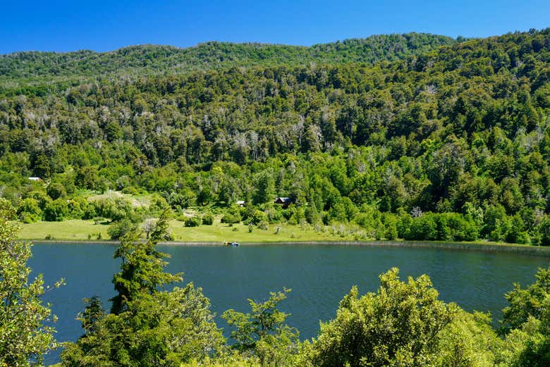 Take in the green landscape!