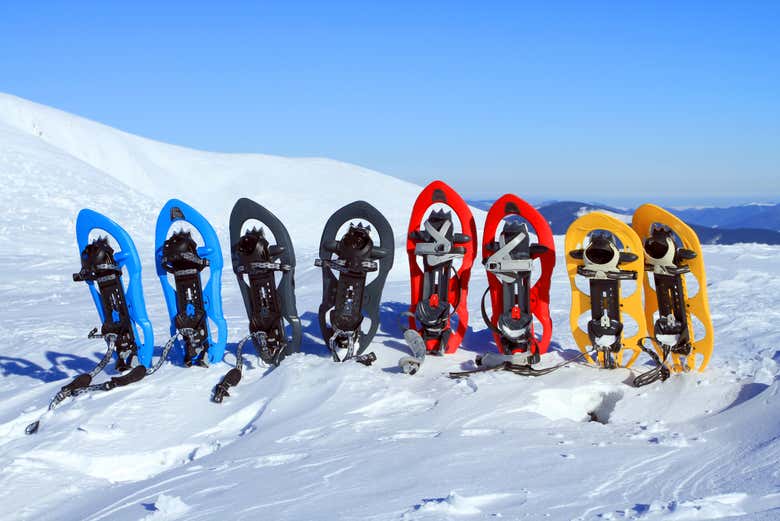 Raquetas de nieve preparadas para la ruta