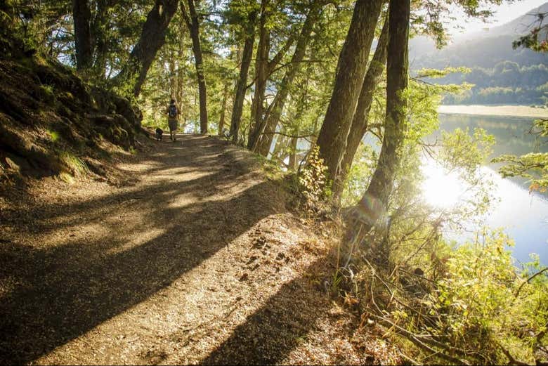 Follow the trail!