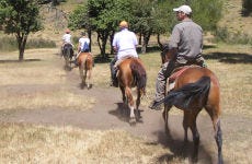Paseo a caballo por las comunidades mapuches