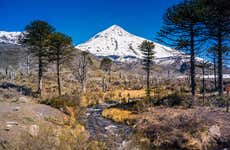 Lanín Volcano Hike