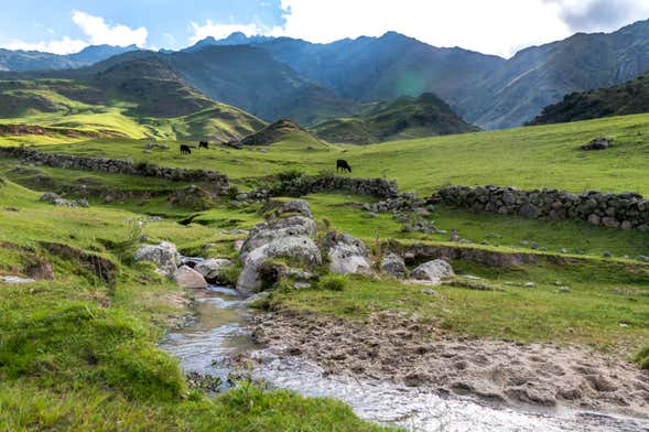 Excursión a Tafí del Valle