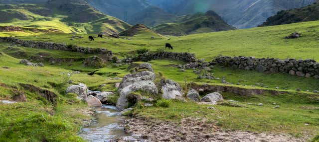 Excursión a Tafí del Valle