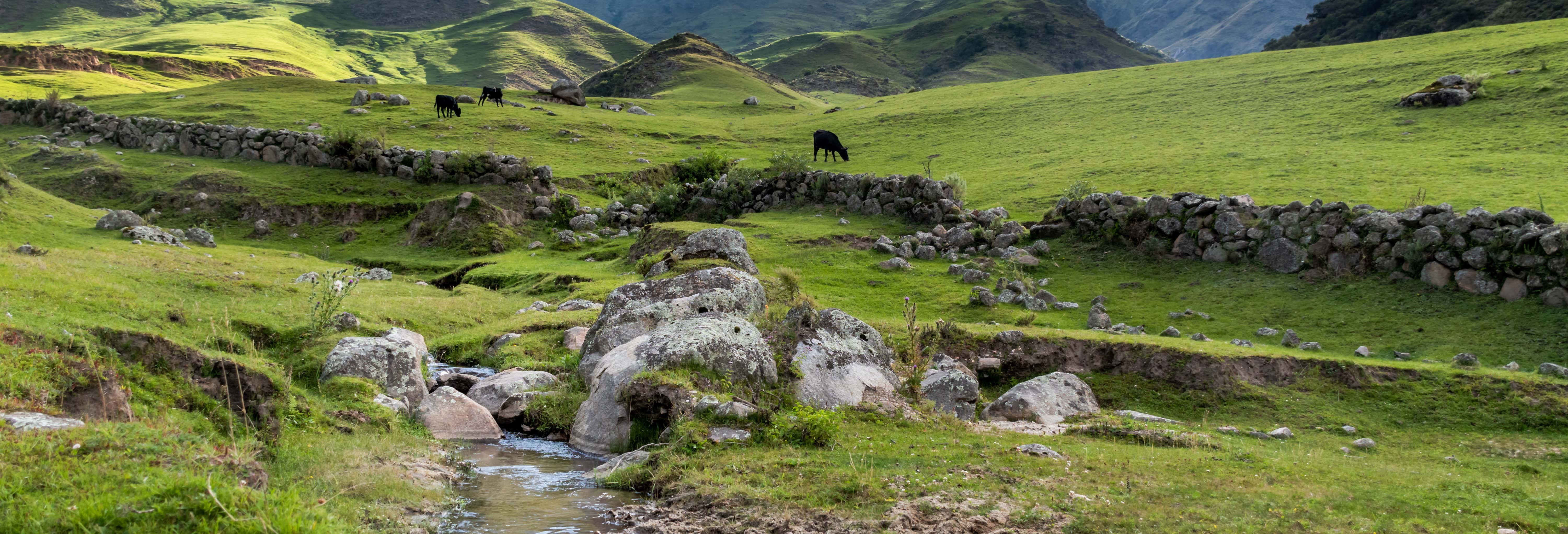 Excursiones de un día en San Miguel de Tucumán