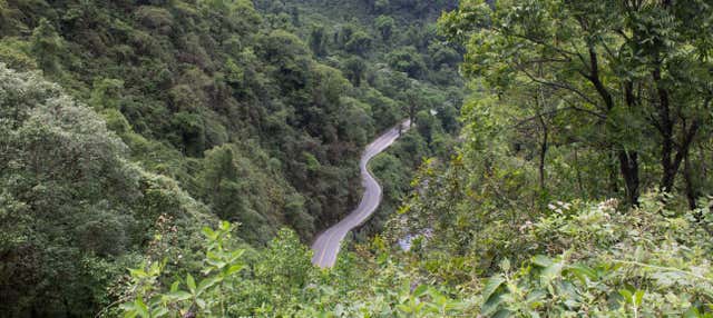 Excursión a las Yungas de Tucumán