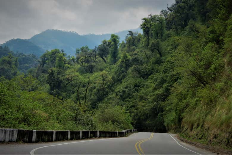Traversée des Yungas