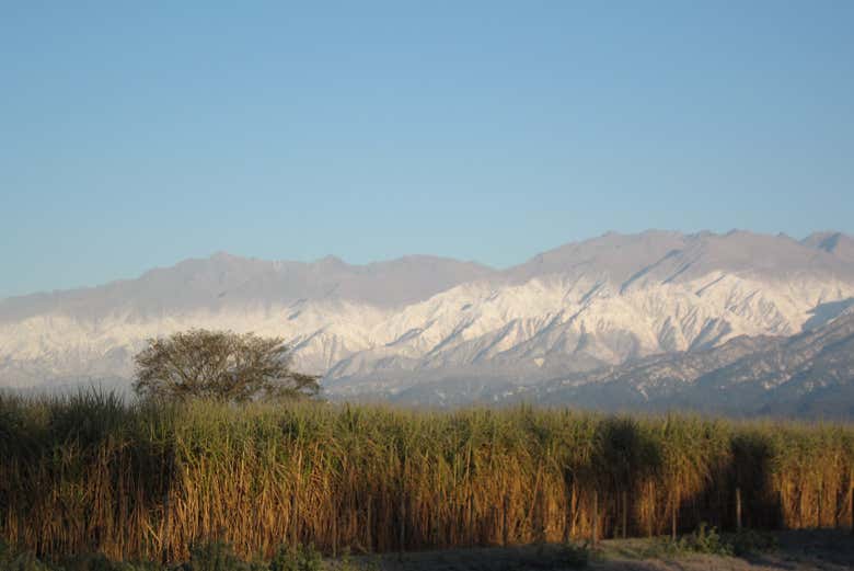 Paisagens de Tafí
