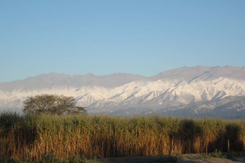 Paisajes de Tafí