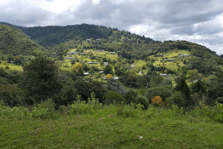 Explore Racó in San Miguel
