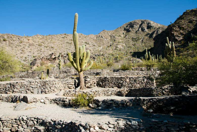 Excursión a ruinas de Quilmes desde San Miguel de Tucumán