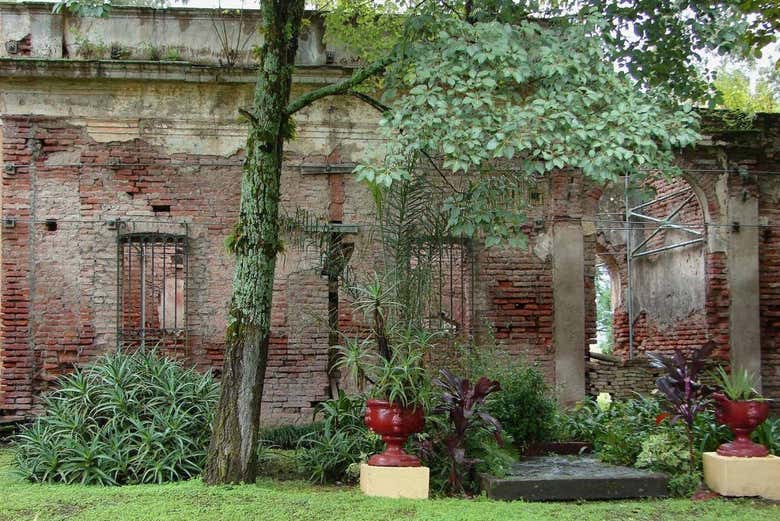 Learn about the Jesuits in Argentina